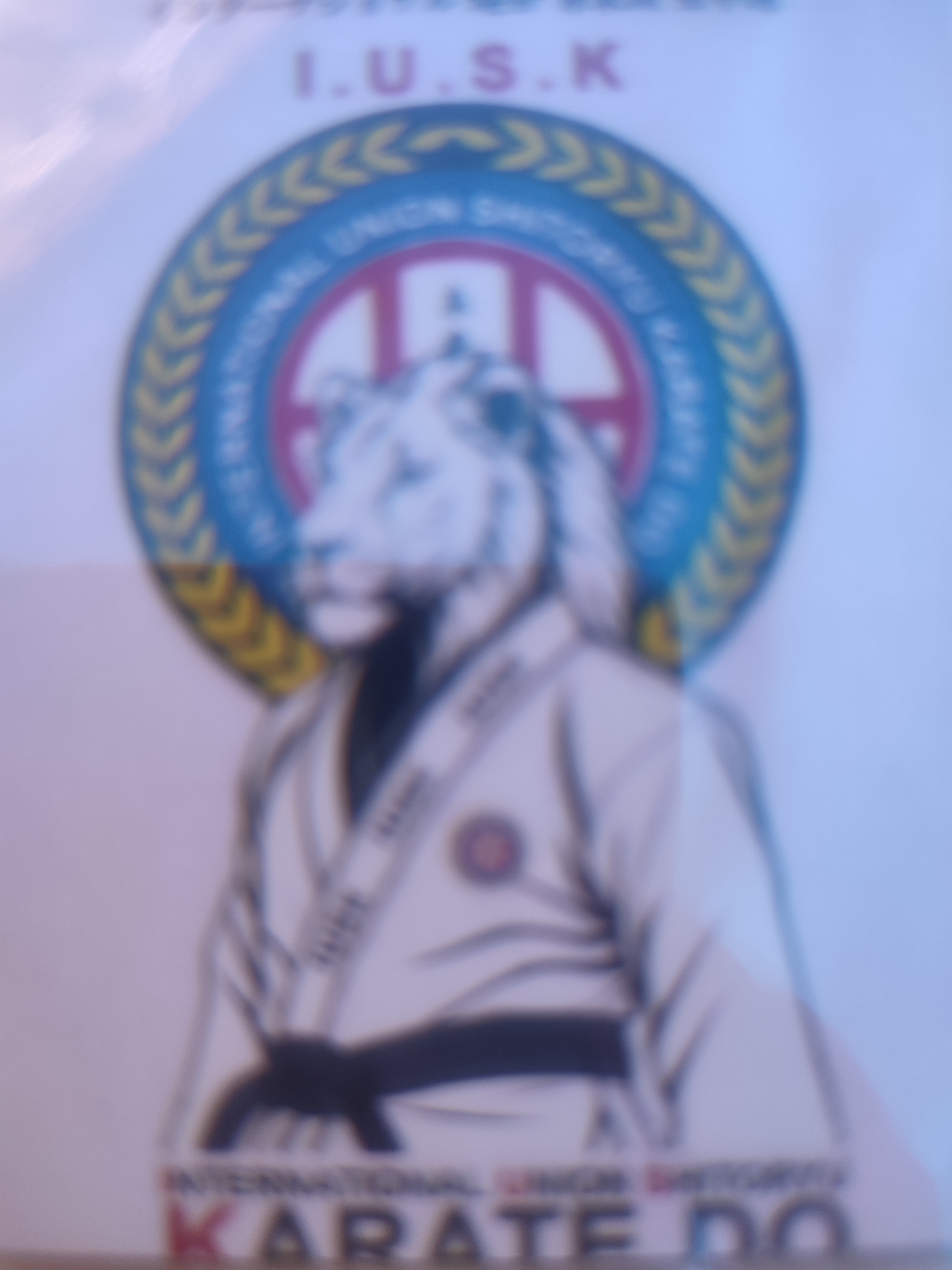 Karate
